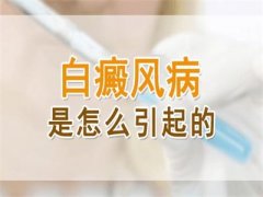 缲ʲôԭ